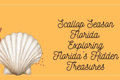 Scallop Season Florida