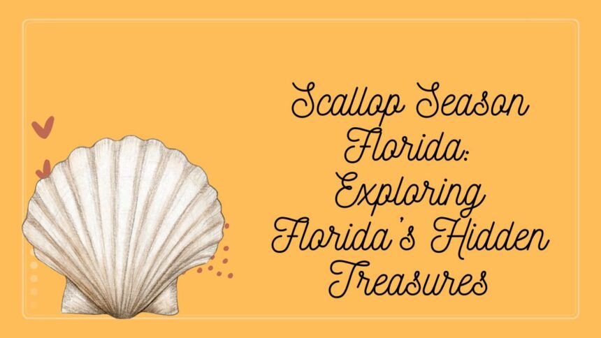 Scallop Season Florida